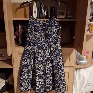 Navy Laced Nude Mini